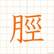 すね,はぎ,ケイ sune