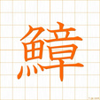 たこ,ショウ tako